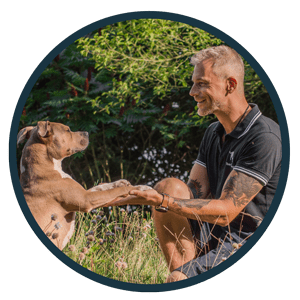 Hundeschule Hundetrainer Hundetagesstätte_Hundetraining_Verhaltensberatung in Berlin mit zertifizierter Kompetenz